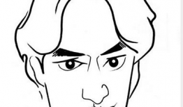 明星漫画图片,捕捉光影中的璀璨瞬间